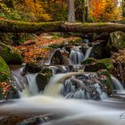 Ilsefälle im Herbst