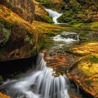 Natur