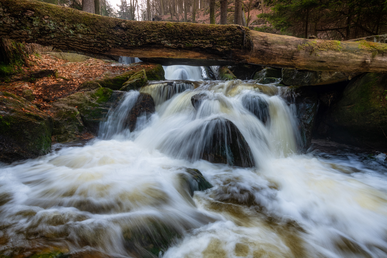 Ilsefälle im romantischen Harz