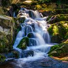 Ilsefall, Harz