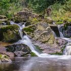 Ilsefall, Harz