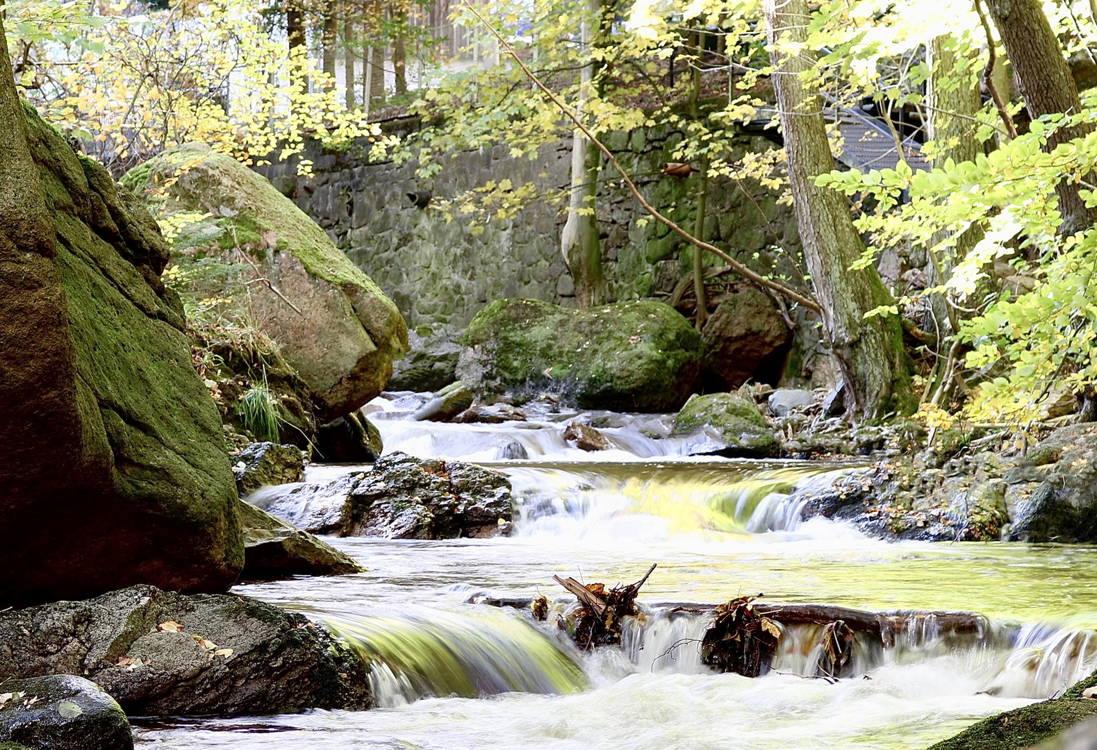 Ilsenberg, Harz