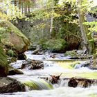 Ilsenberg, Harz