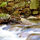 Ilsenberg, Harz