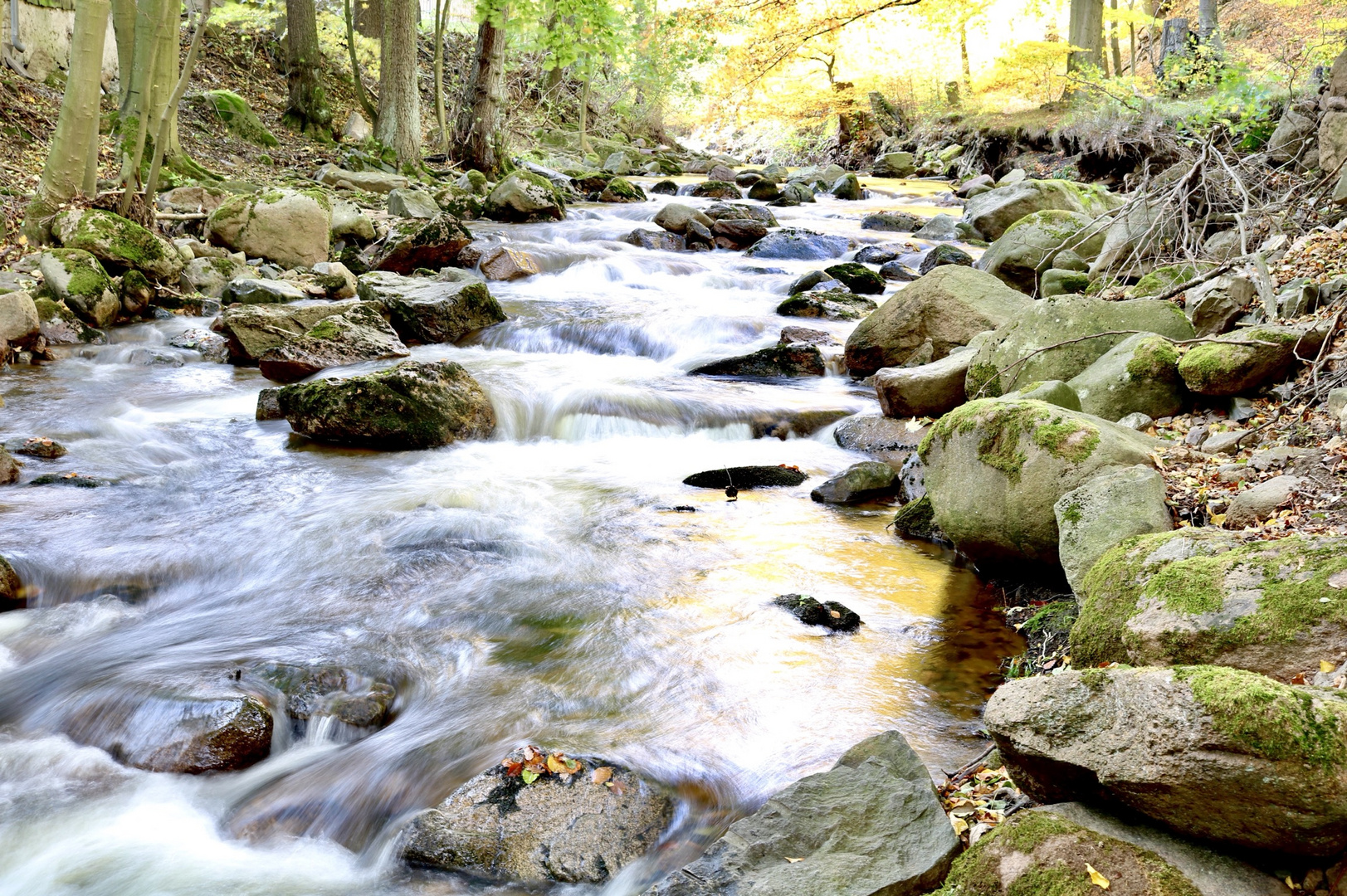 Ilsenberg, Harz