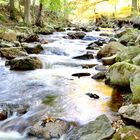 Ilsenberg, Harz