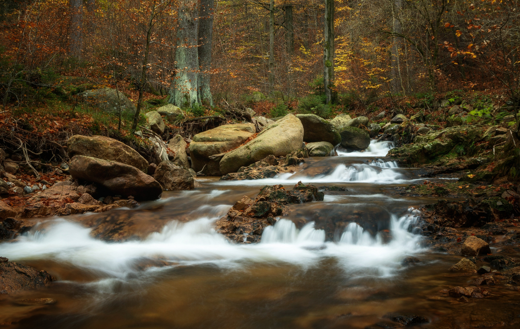 Ilsetal - Harz