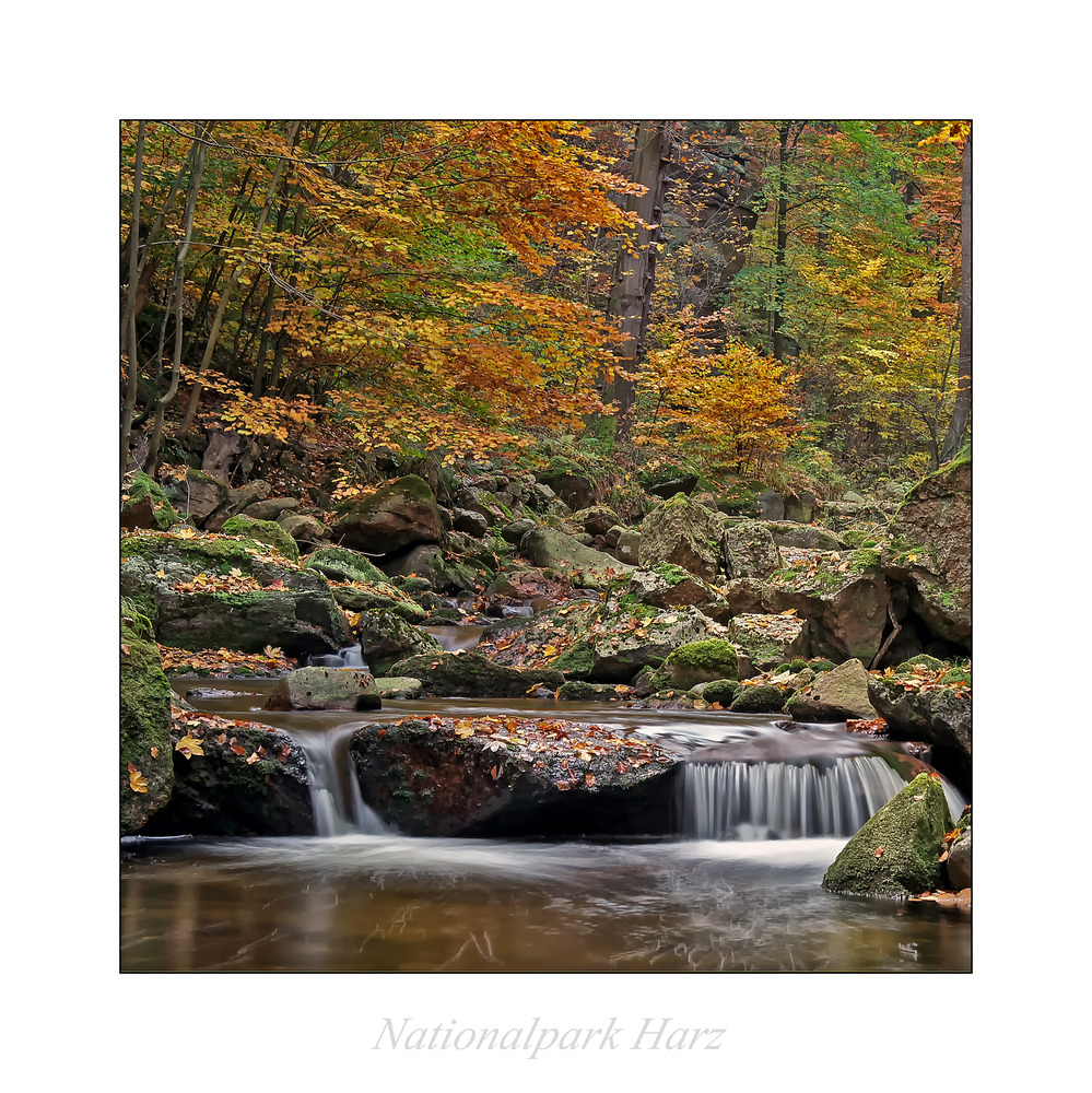 ILsetal / Harz " so schön und Wild ist unser Harzer Land........"