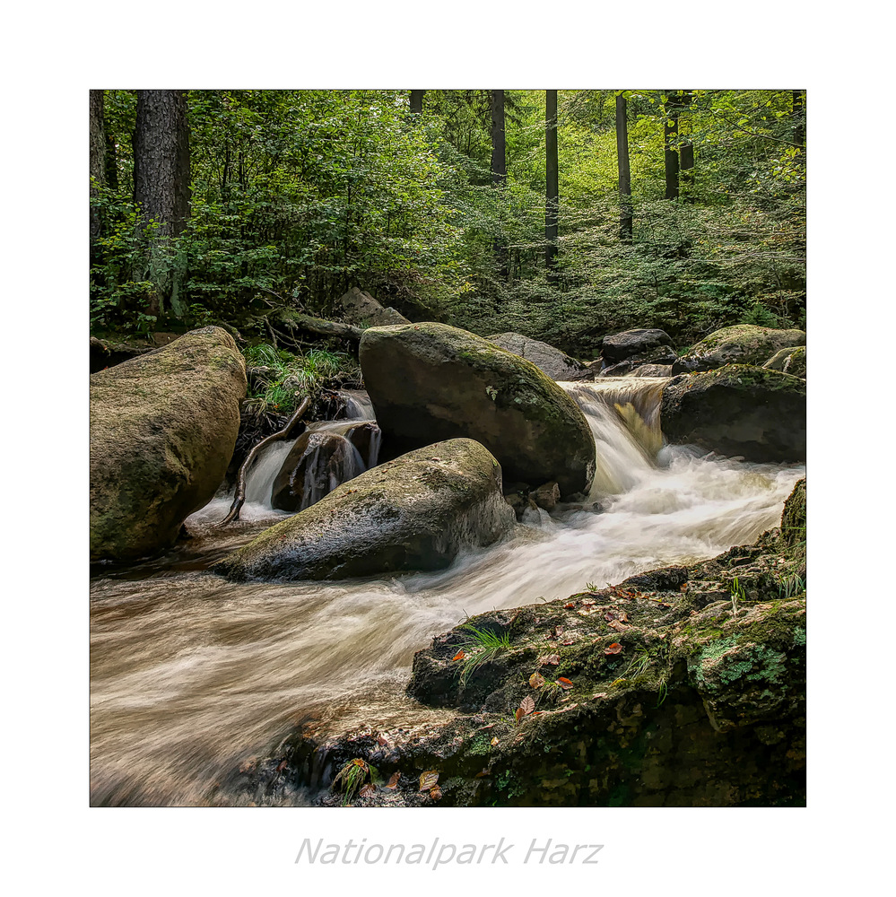 ILsetal / Harz " so schön und Wild ist unser Harzer Land......"