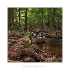 ILsetal / Harz " so schön und Wild ist unser Harzer Land...."