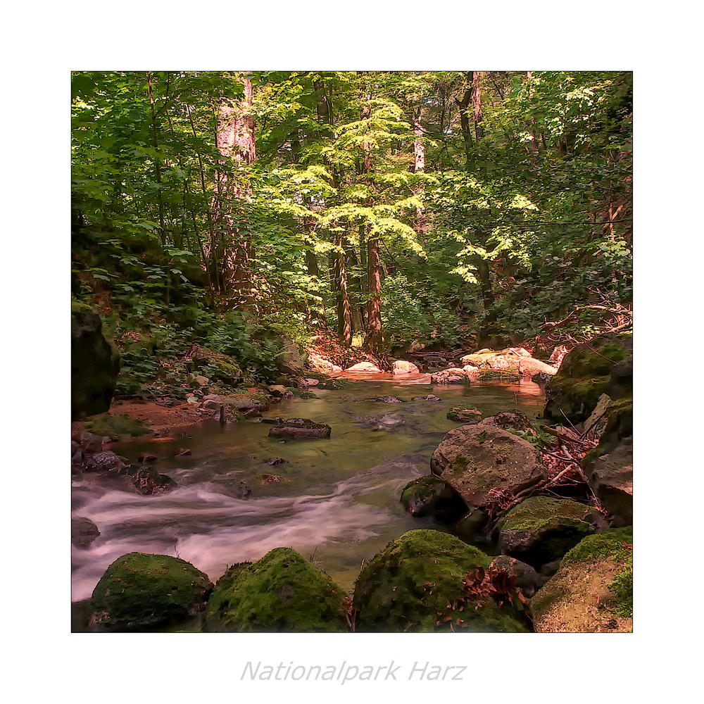 ILsetal / Harz " so schön und Wild ist unser Harzer Land*...."