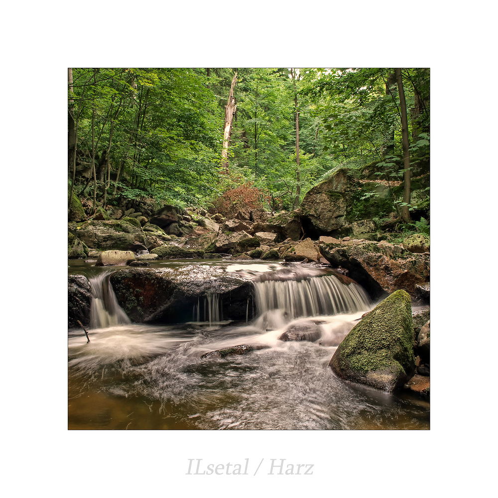 ILsetal / Harz " so schön und Wild ist unser Harzer Land**...."