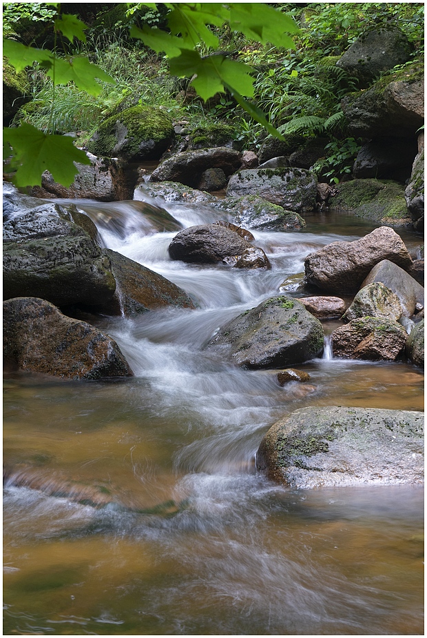 Ilsetal im August