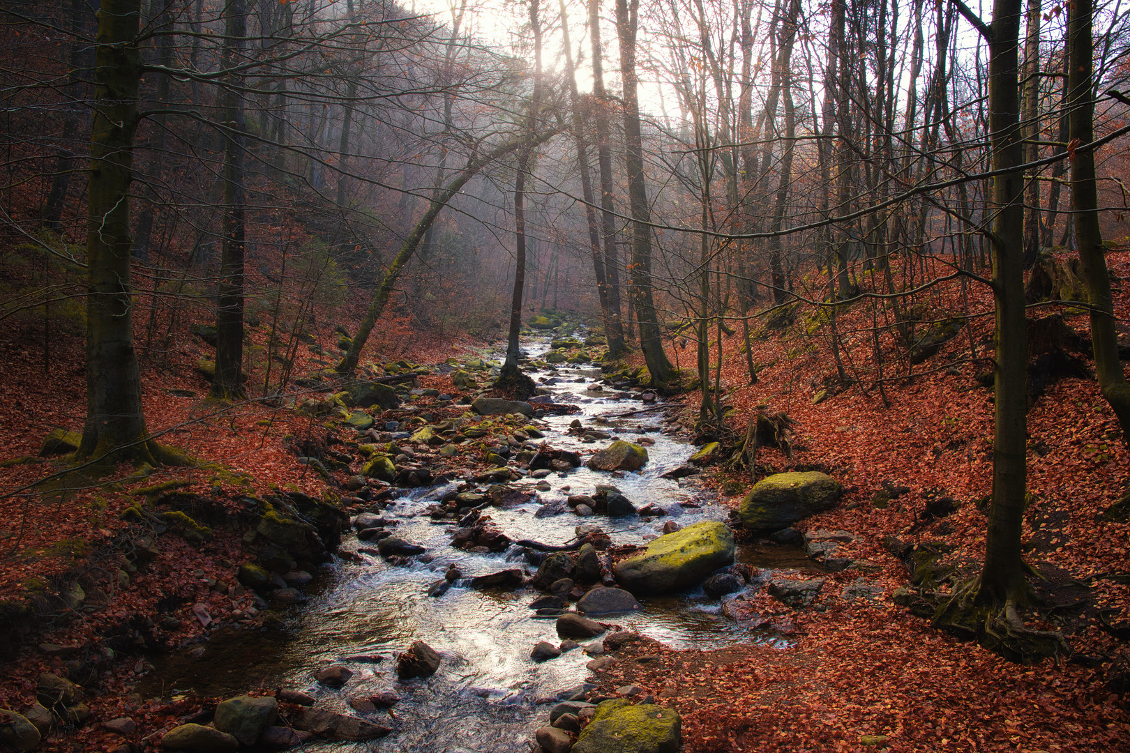 Ilsetal im Gegenlicht