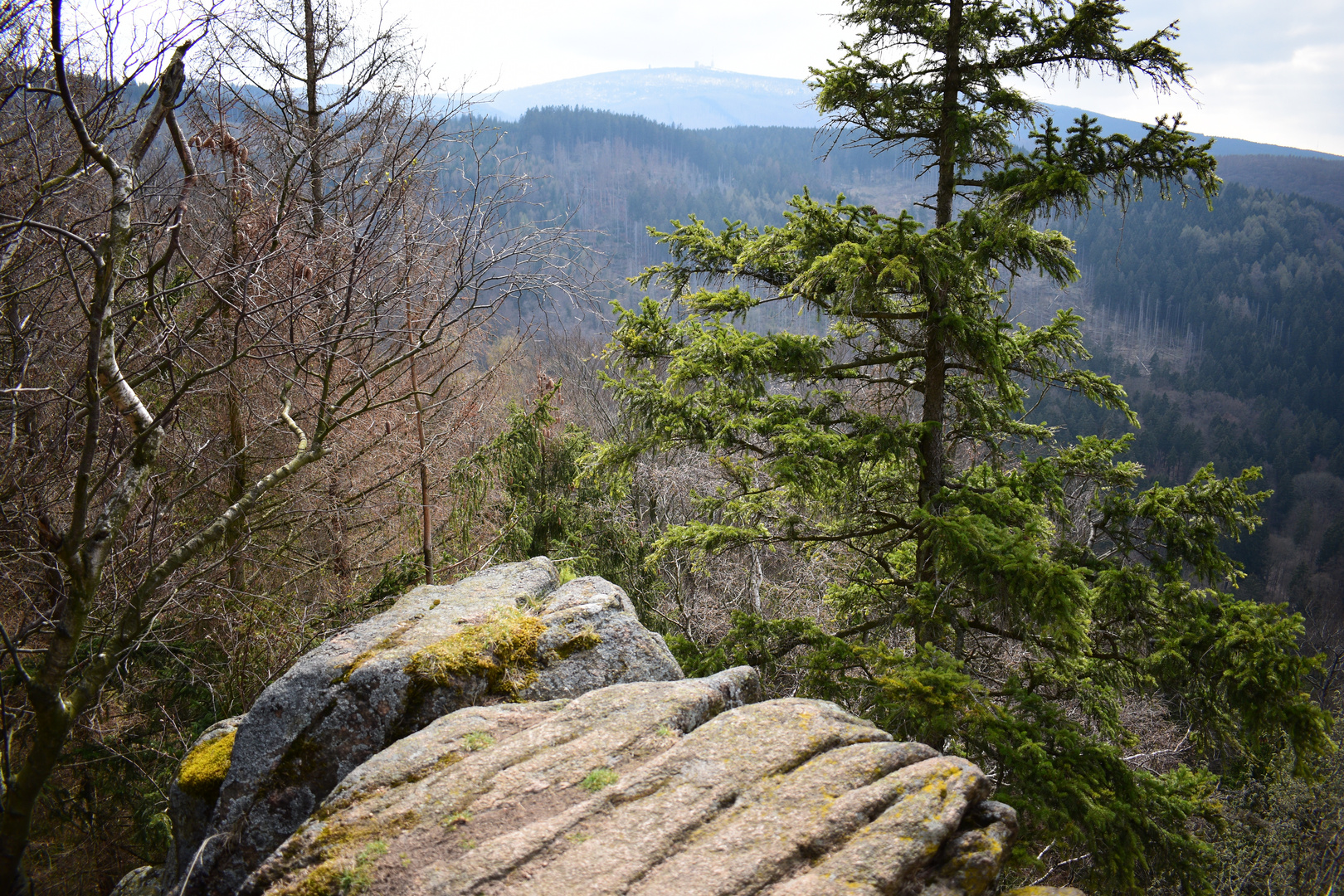 Ilsetal im Harz