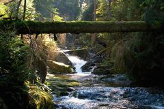 Ilsetal im Harz