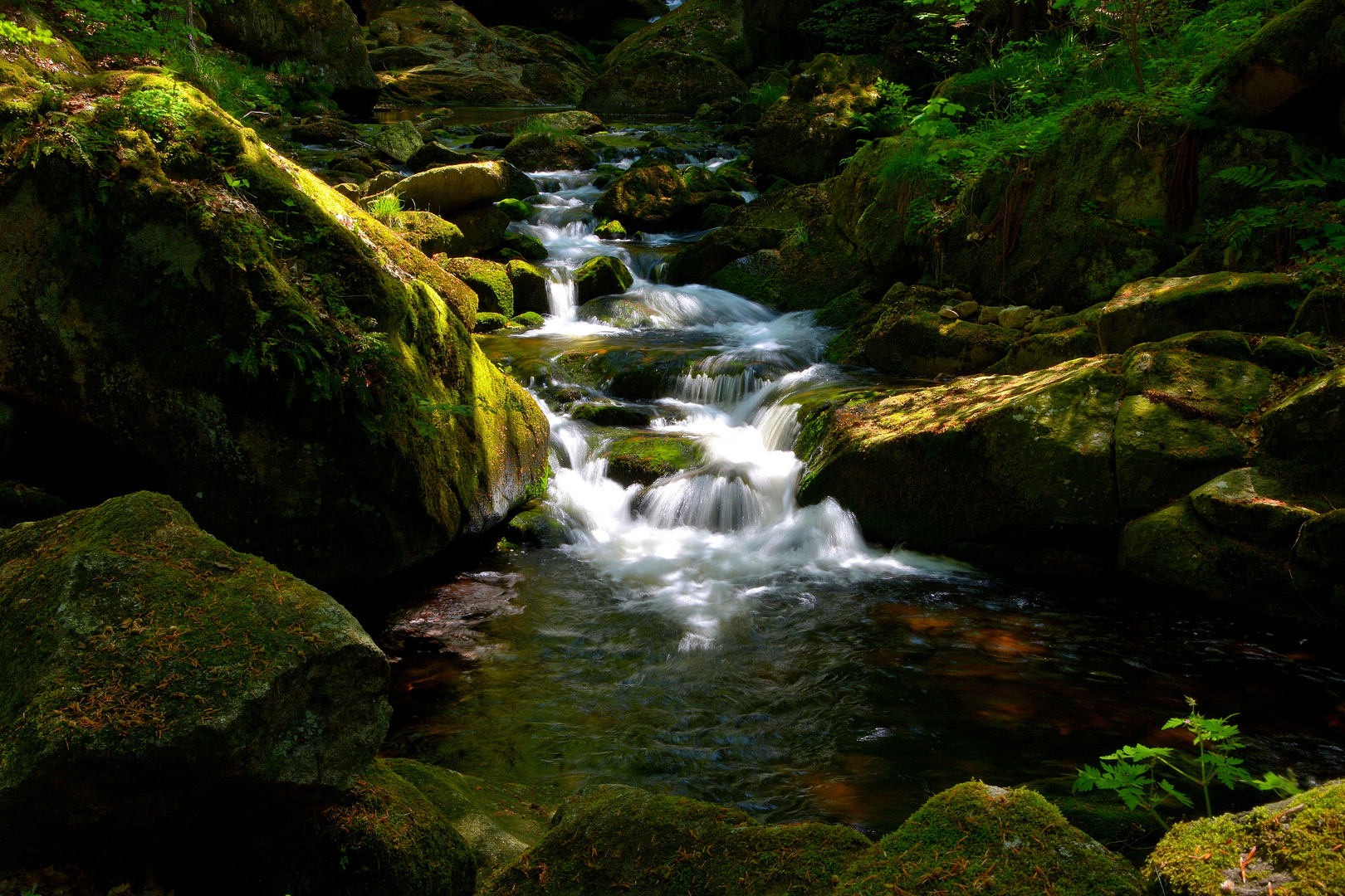 Ilsetal im Harz