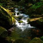 Ilsetal im Harz