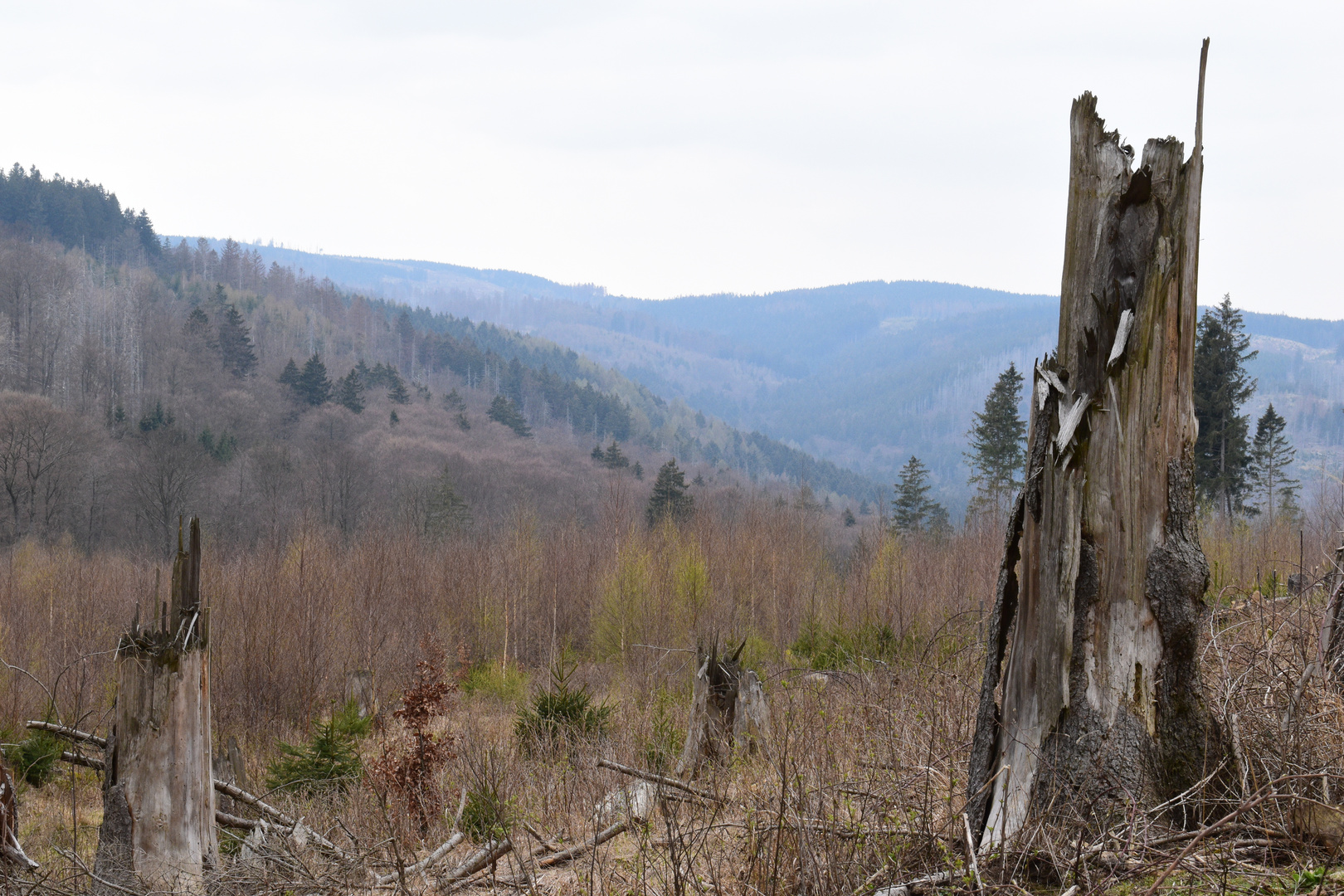 _Ilsetal im Harz_