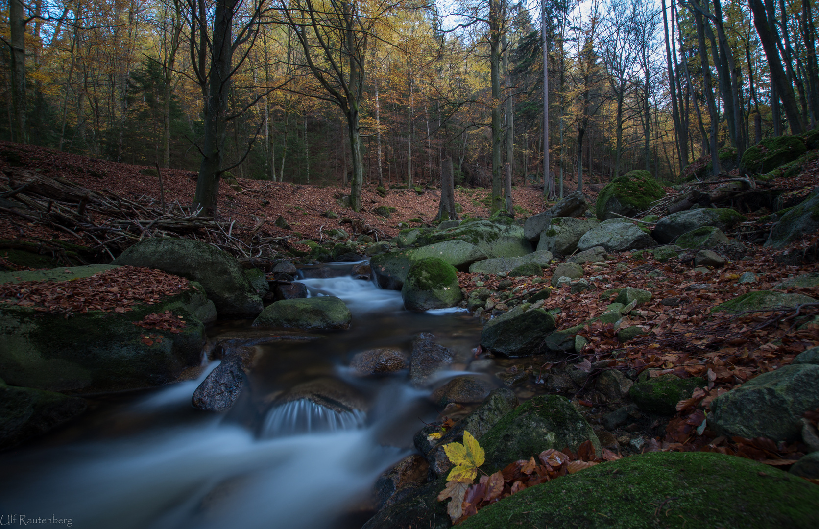 Ilsetal im Harz