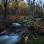 Ilsetal im Harz