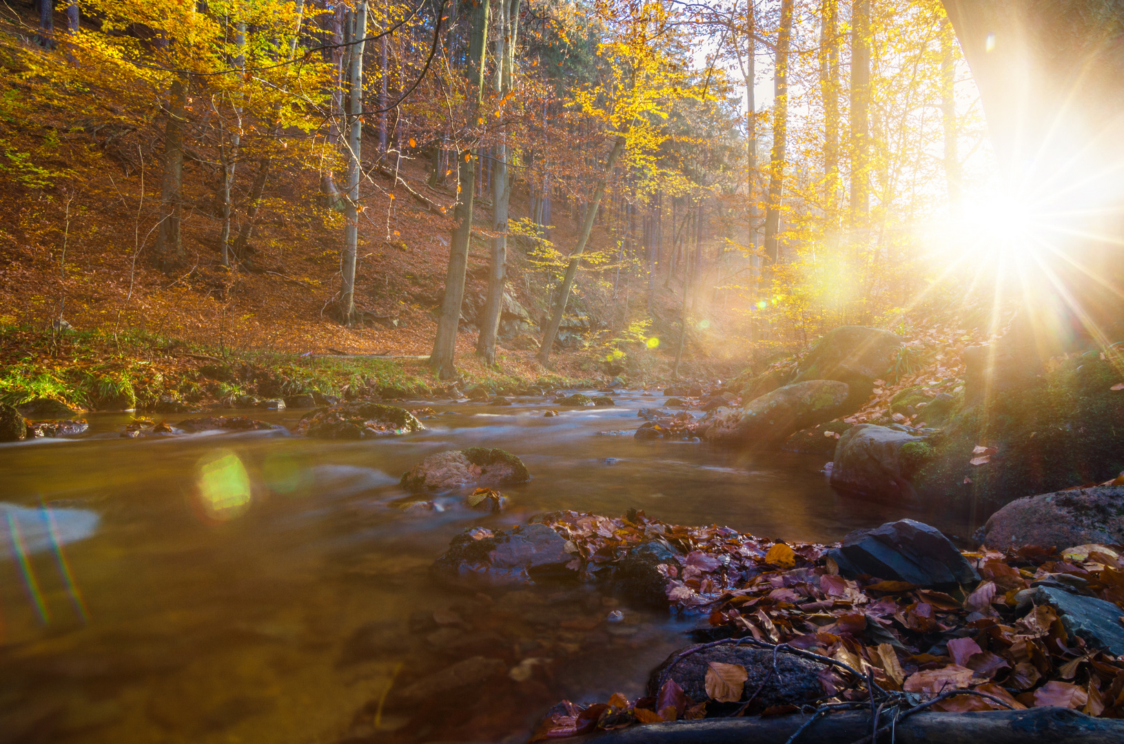 Ilsetal im Harz