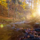 Ilsetal im Harz