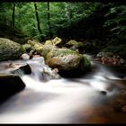 Ilsetal im Harz II