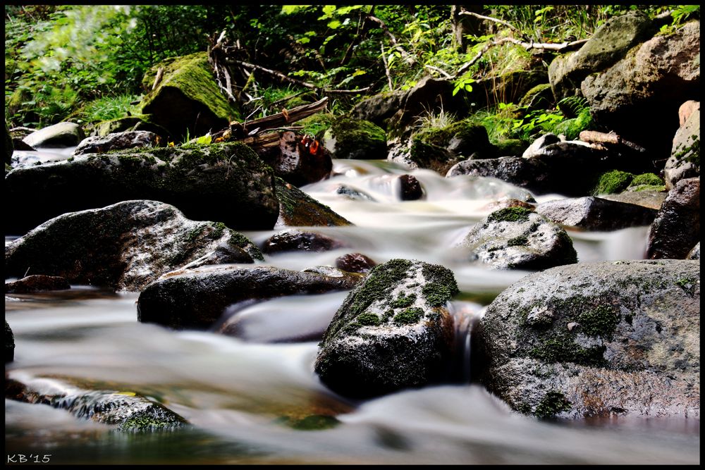 Ilsetal im Harz III