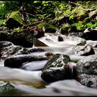 Ilsetal im Harz III