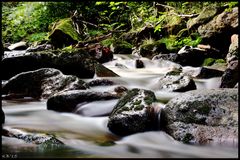 Ilsetal im Harz III