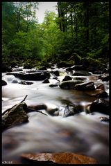 Ilsetal im Harz IV