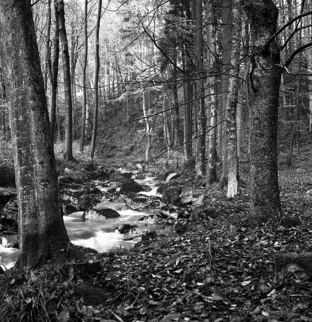 Ilsetal im Herbst 2014