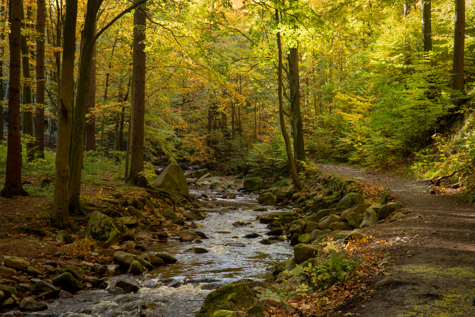 Ilsetal im Herbst