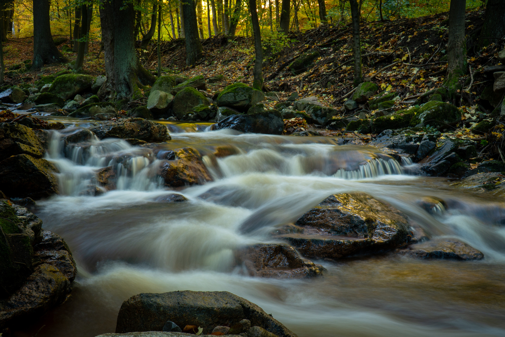 Ilsetal im Herbst