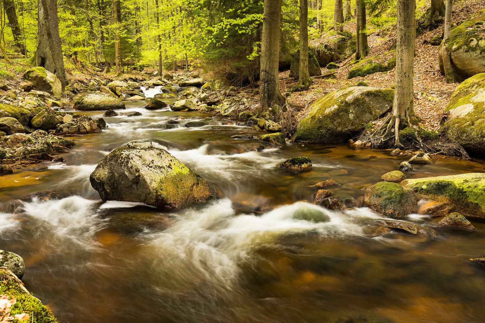 Ilsetal im Nationalpark Harz