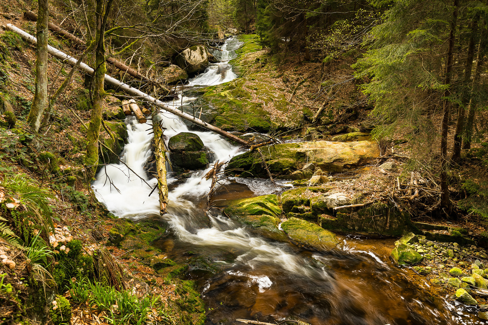 Ilsetal im Nationalpark Harz