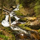 Ilsetal im Nationalpark Harz