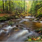 Ilsetal im NP Harz IV