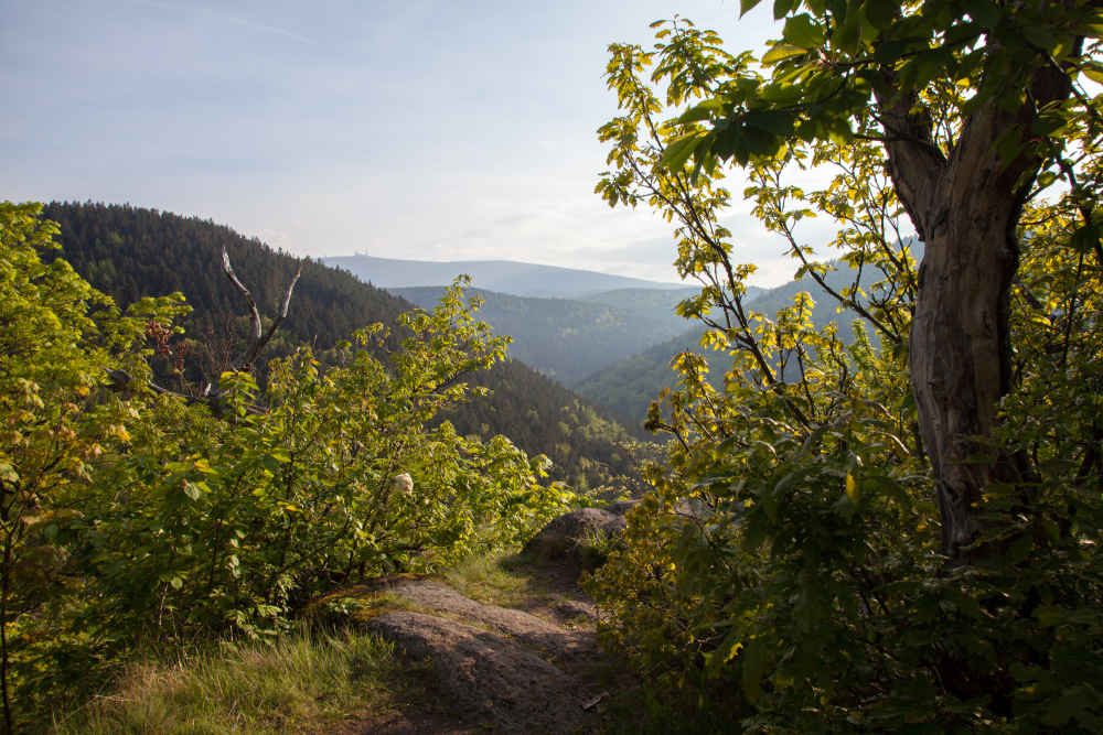 Ilsetal und Brocken