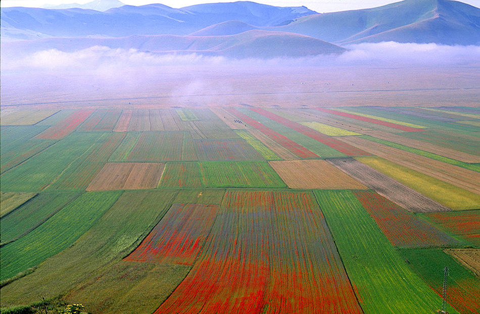 IL...SOLITO CASTELLUCCIO 2