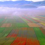 IL...SOLITO CASTELLUCCIO 2