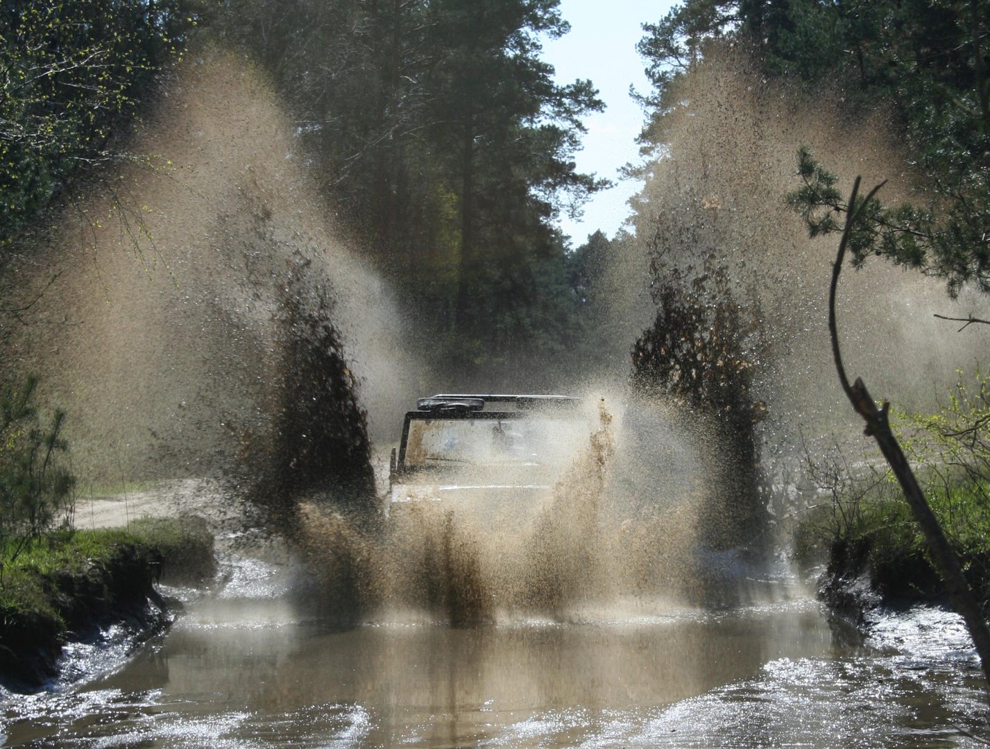 Iltis Emma in seinem Element (Wasser)