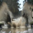 Iltis Emma in seinem Element (Wasser)