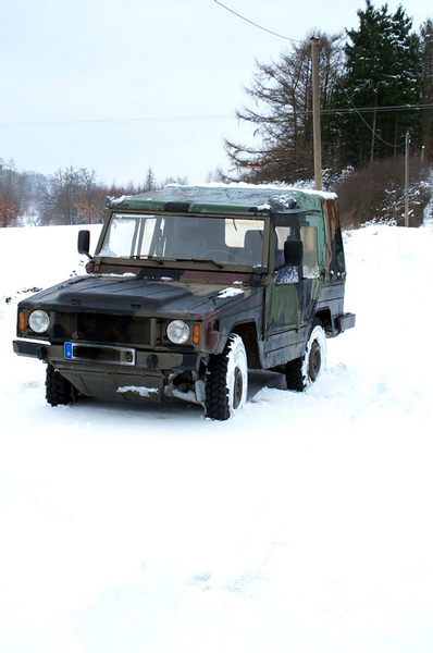 Iltis im Winter