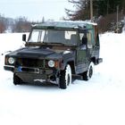 Iltis im Winter