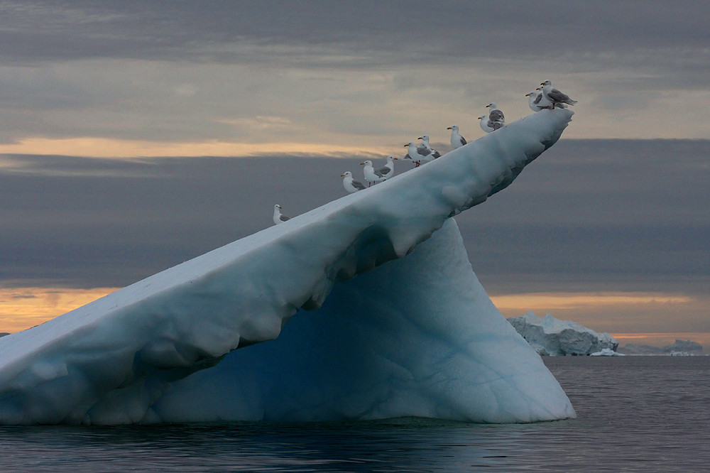 Ilulissat Eisfjord, Weltnaturerbe der UNESCO.