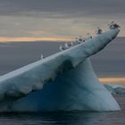 Ilulissat Eisfjord, Weltnaturerbe der UNESCO.