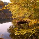 Ilz-Stausee bei Passau (Ger)