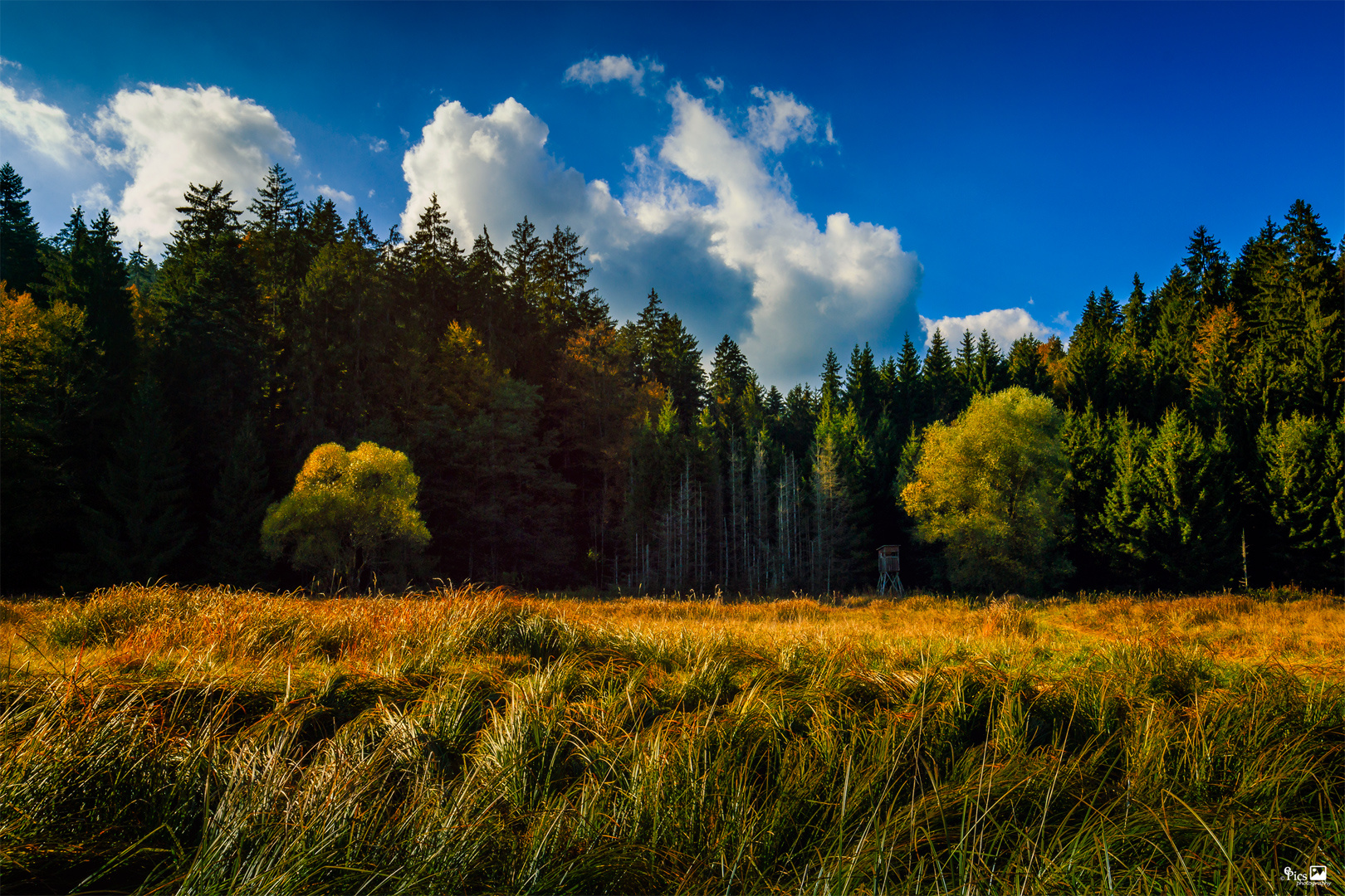 Ilz zwischen Grafenau und Haus im Wald - Bayern618